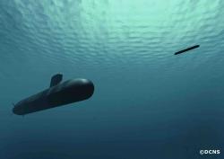 DCNS UNVEILS SHORTFIN BARRACUDA
