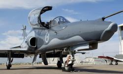 $582 MILLION FOR AUSTRALIAN WEDGETAIL TO REMAIN WORLD-BEST