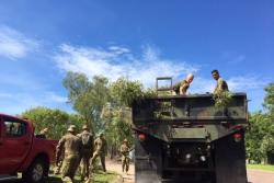 Australian Defence Force stands up Joint Task Force to help Cyclone recovery