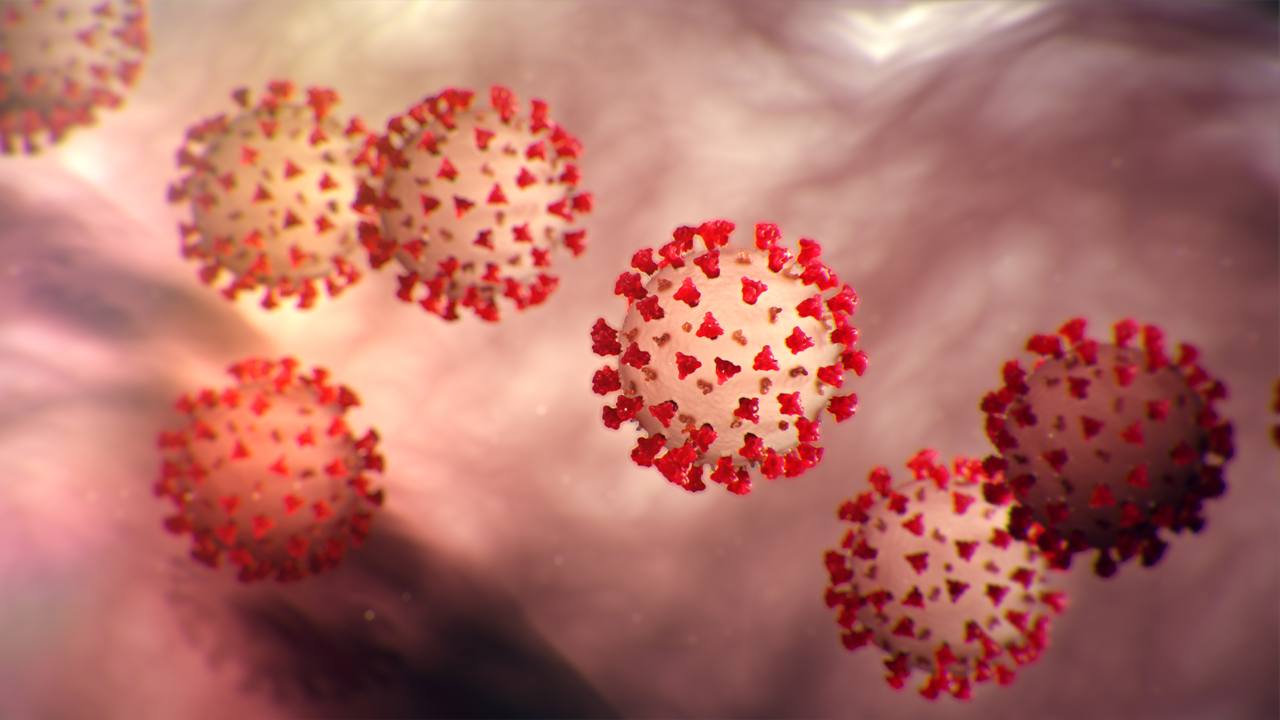 Two ADF officers confirmed to be infected with COVID-19, contact tracing underway