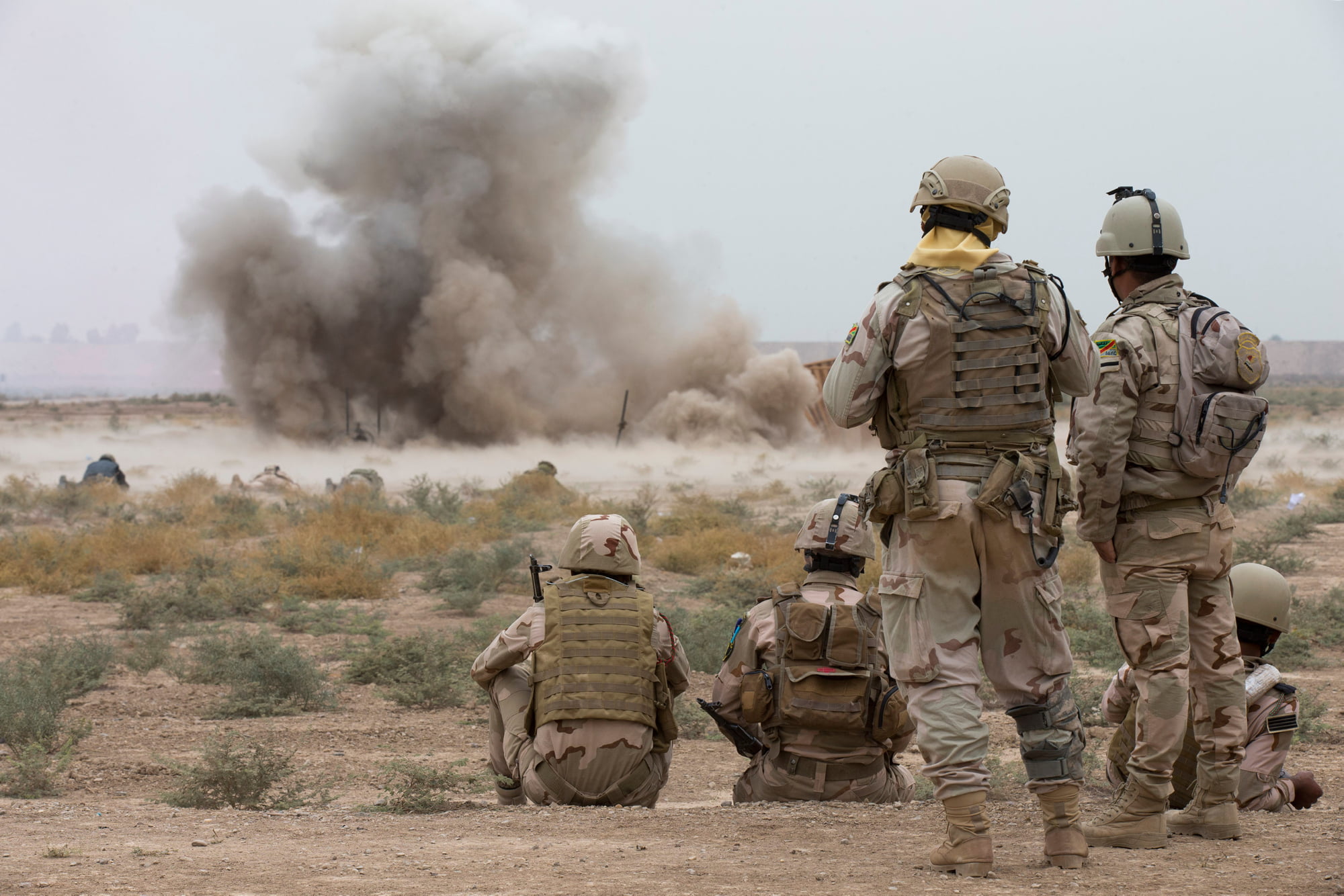 New hotline for GPs working with vets