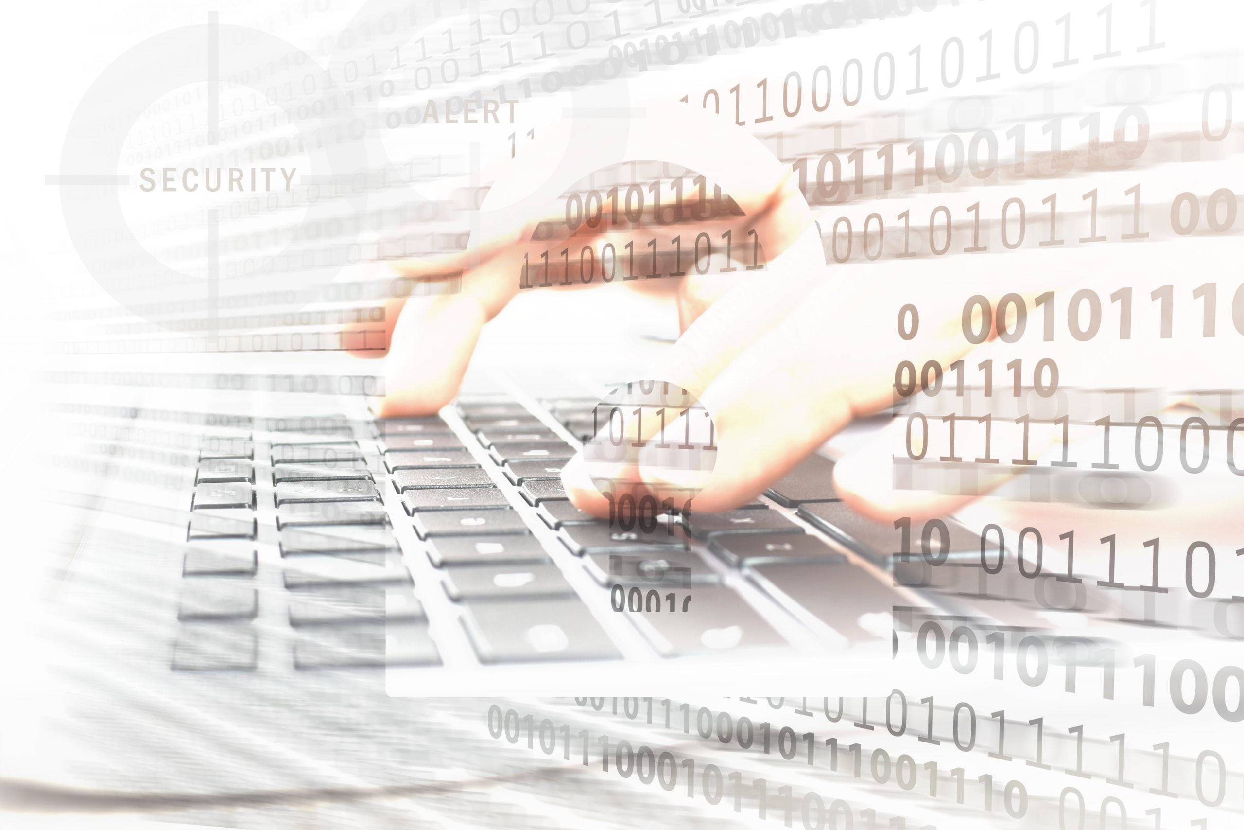 RAN seeking ‘cryptologic linguists’