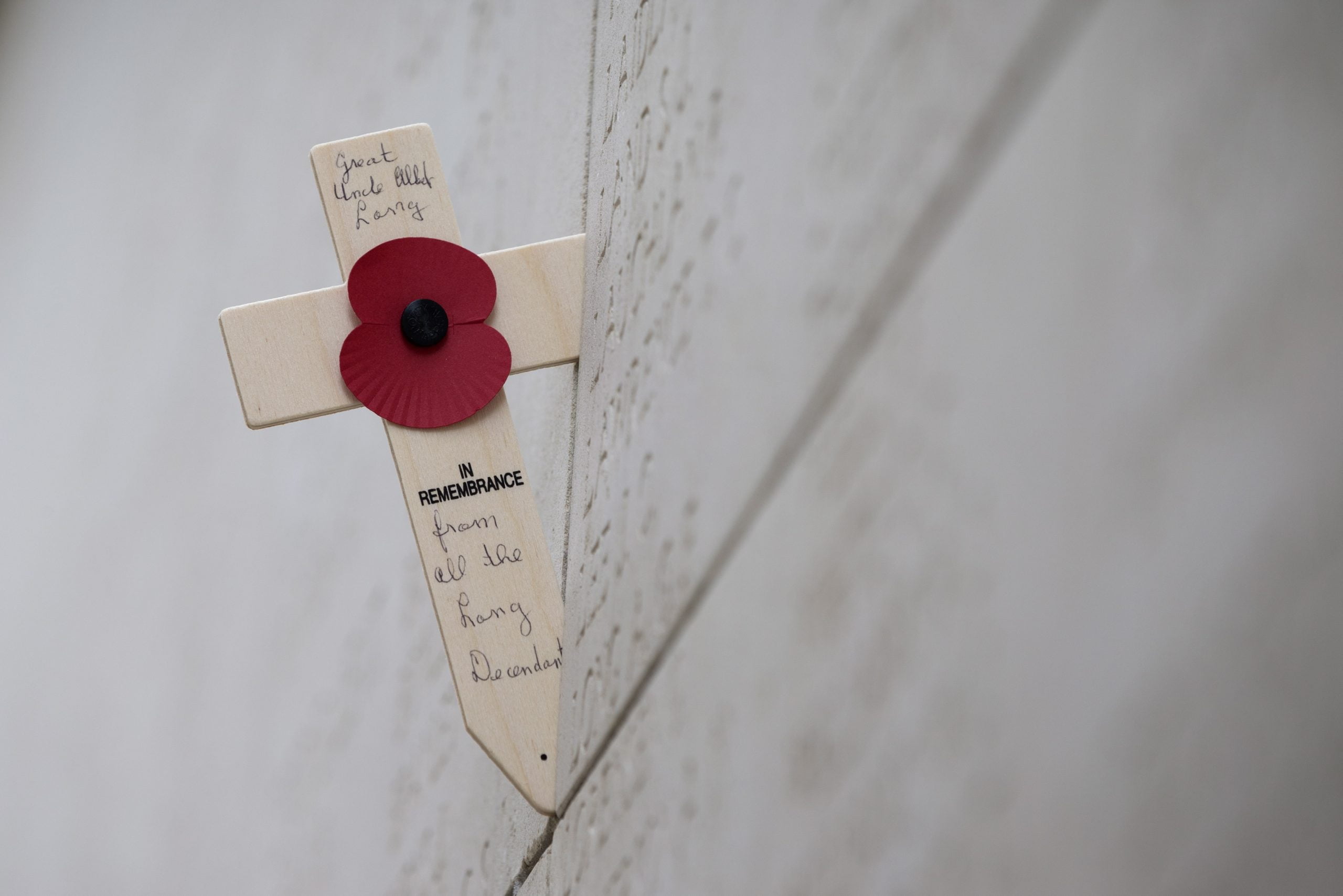 REMEMBRANCE DAY 2020