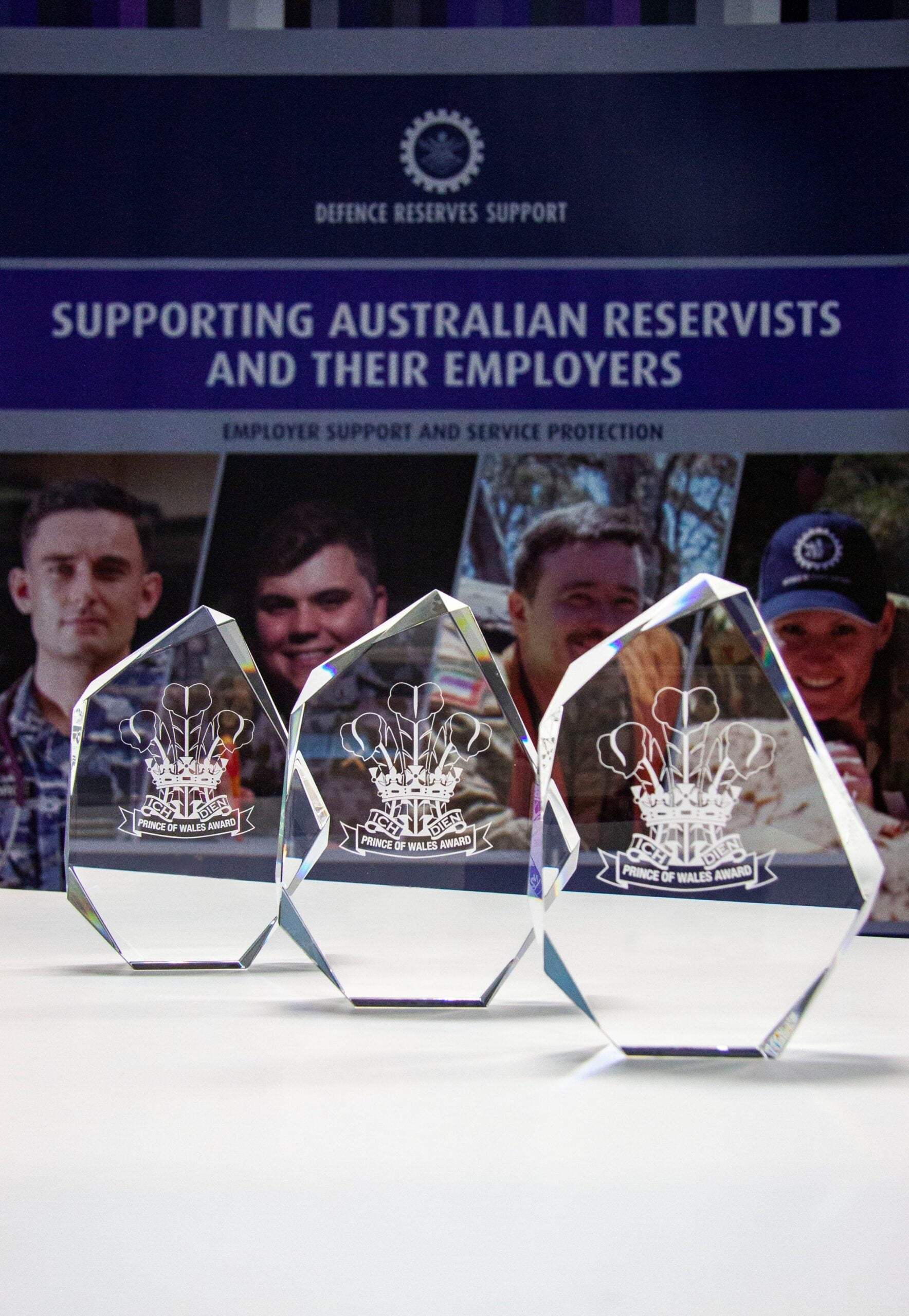 Prince of Wales Awards recognise reservists and employers
