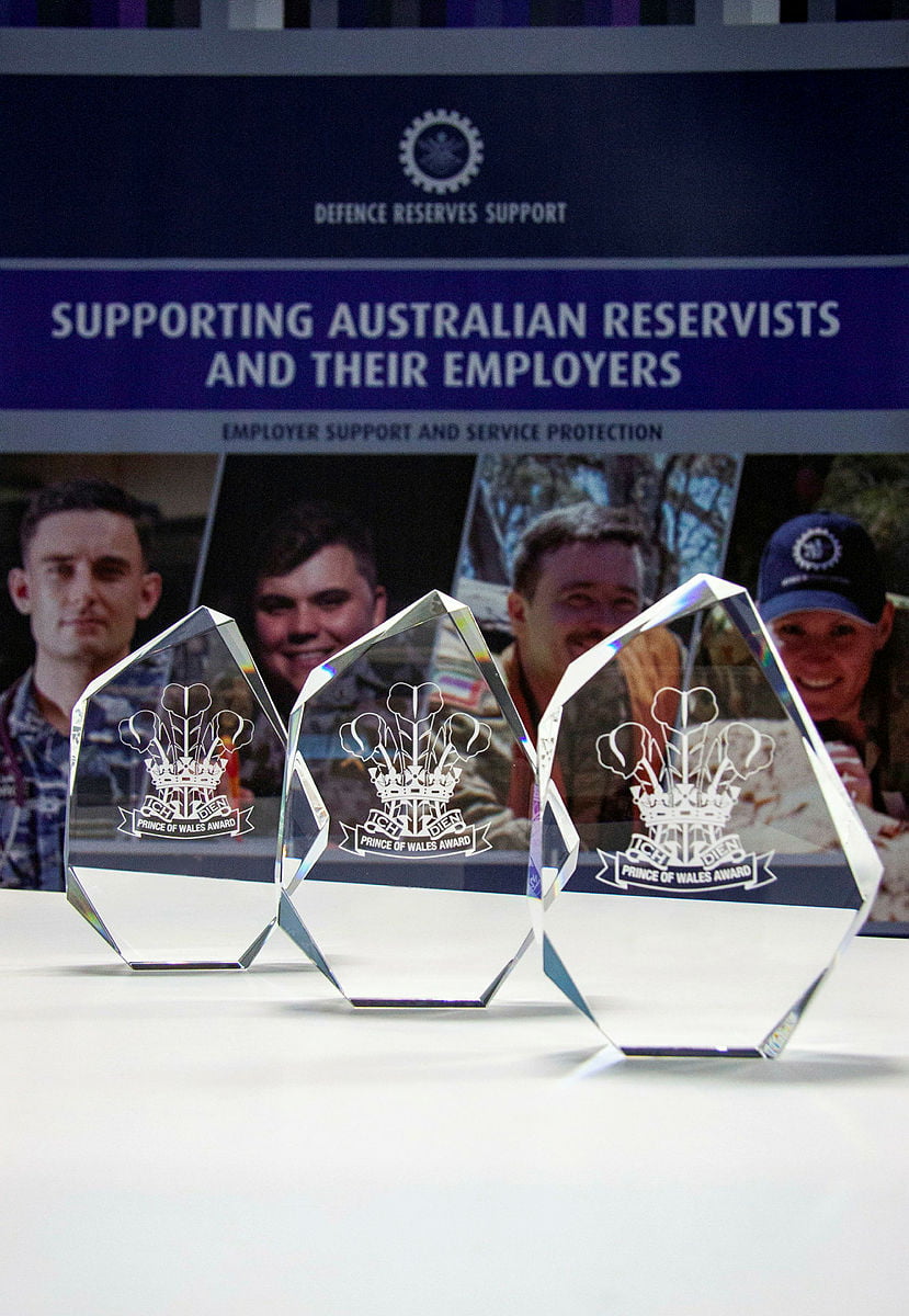 ADF reservists, employers recognised in Prince of Wales Awards