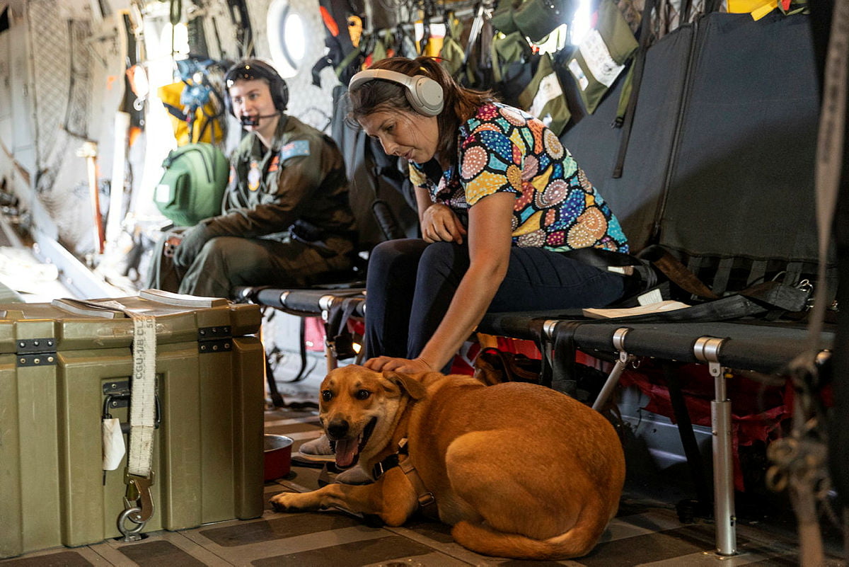 Operation Flood Assist 23-1 update