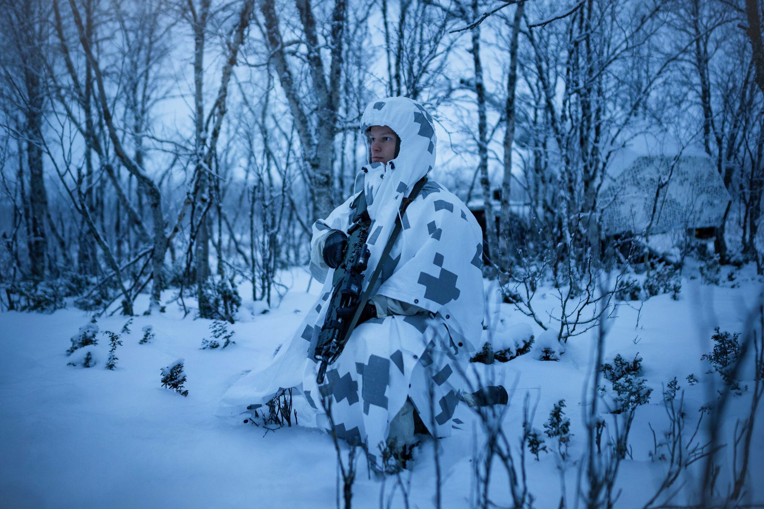 Saab reveals new Barracuda camouflage protection