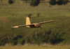 SYPAQ Systems named to inaugural All-World Defense 300 Corvo PPDS